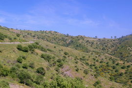 Monti Peloritani