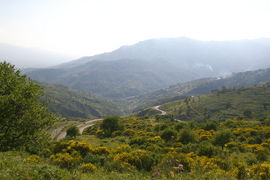 Monti Peloritani 
Strada Statale di Sella Mandrazzi