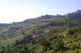 Monti Peloritani - Monte Etna
Borgo Morfia