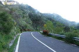 Strada Statale di Sella Mandrazzi