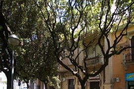 Messina