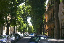 Messina