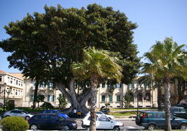 Reggio di Calabria
Lungomare