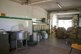 Frantoio