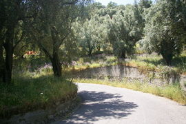 bei/near Bagaladi