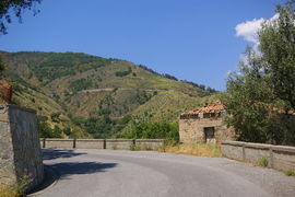 bei/near Bagaladi