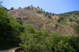 bei/near Bagaladi