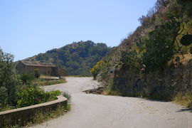 bei/near Bagaladi