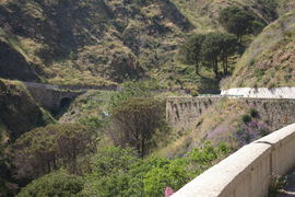 bei/near Bagaladi
