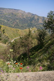 bei/near Bagaladi