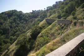 bei/near Bagaladi