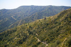 bei/near Bagaladi