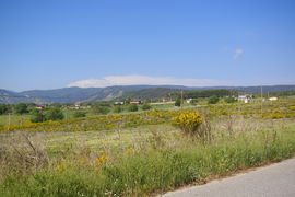Campi di Sant'Agata