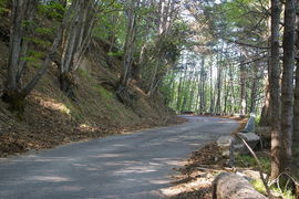 Aspromonte