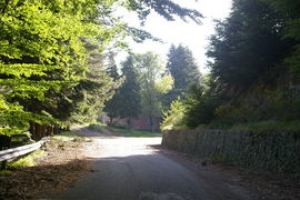 Sella Entrada