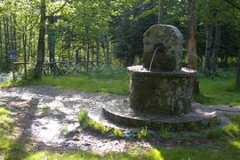 bei/near Gambarie