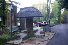 Gambarie