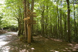 Aspromonte
verso Cima di Montalto