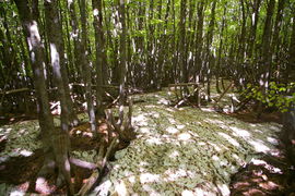 Cima Montalto