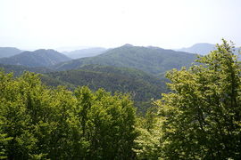 Cima Montalto