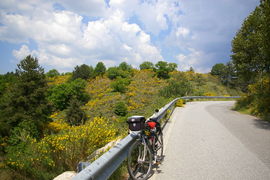 Aspromonte