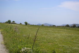 Campi di Sant'Agata