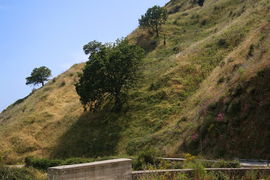 bei/near Bagaladi