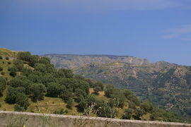 bei/near Bagaladi