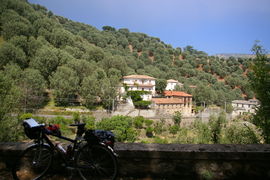 bei/near Bagaladi