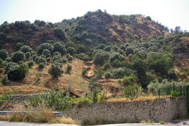 bei/near Bagaladi