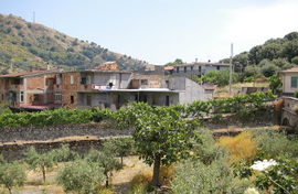 bei/near Bagaladi