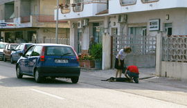 La morte del cane