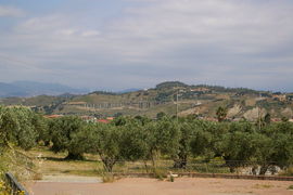 Rocceletta del Vescovo di Squillace
bei/near Catanzaro
