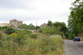 Borgia