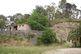 Borgia