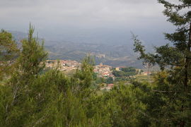 Borgia