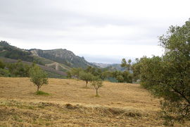 bei/near Squillace