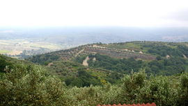 bei/near Squillace