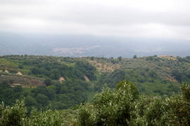 bei/near Squillace
Amaroni