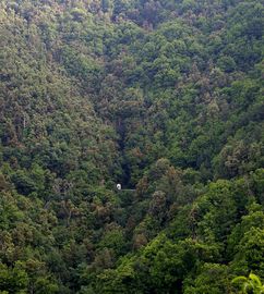 bei/near Pentone