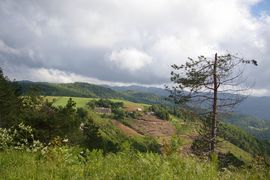 Altipiano della Sila
