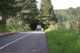 bei/near Lago Arvo