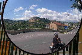 Morelli