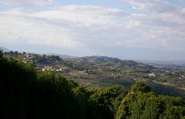 bei/near San Fili
San Vincenzo la Costa
Montalto Uffugo