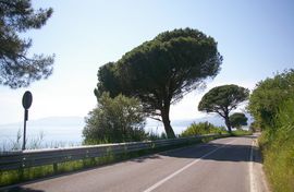 bei/near Sapri
Tirrena Inferiore