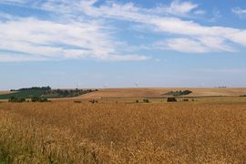 Plateau barrois