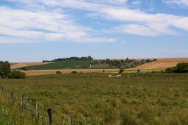 Plateau barrois