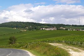 Route de Champagne
Hautvillers