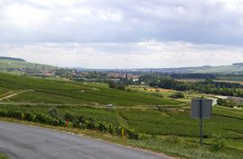 Route de Champagne
Damery