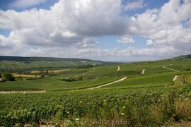 Guck mal rein: Champagne - Picardie